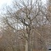 Nina Wood Photo 10