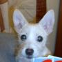 Lori Troyer Photo 17