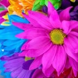 Martha Hughes Photo 32