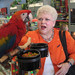 Judy Parrot Photo 8