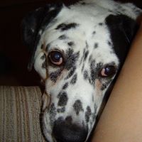 Debra Mckelvey Photo 1