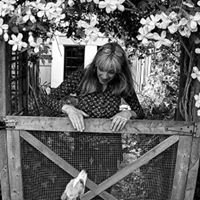 Dot Rowe Photo 3