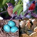 Robin Shockley Photo 14