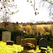 Edward Hedges Photo 9