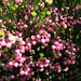 Erica Berry Photo 20