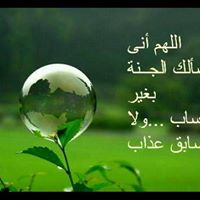 Shereen Mohammed Photo 12