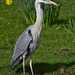Patrick Burd Photo 4
