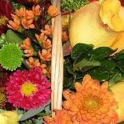 Dorothy Bush Photo 14
