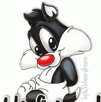 Katty Lu Photo 2
