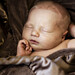 James Andersen Photo 21