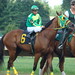 Daniel Haskell Photo 12