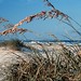 Mary Sands Photo 16