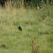 Clifton Hunter Photo 7