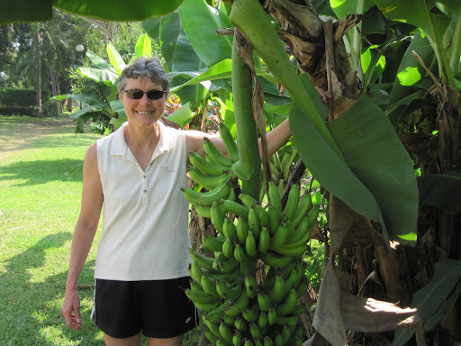 Connie Meyer Photo 10