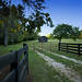 Virginia Bullock Photo 13