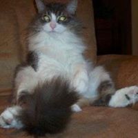 Amy Orwig Photo 4