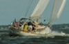 Philip Conner Photo 20