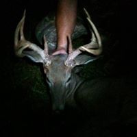 David Turner Photo 5
