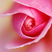 Cornelia Winters Photo 4