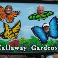 Rosemary Matthews Photo 8
