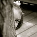 Jason Laney Photo 11