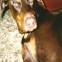 Joyce Webster Photo 17