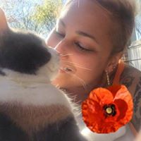Stephanie Beauchamp Photo 25