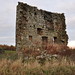 Bruce Wester Photo 7