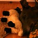 Laurence Lamb Photo 10
