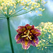Catherine Rivers Photo 24