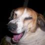 Debra Barnett Photo 24