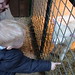 Harrison Lamb Photo 15