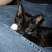 Geoffrey Cooper Photo 42