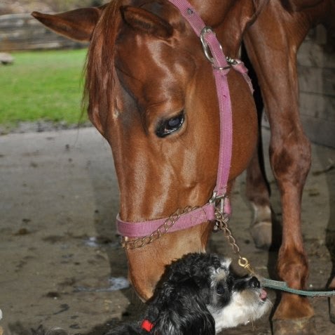 Jean Cavanagh Photo 16