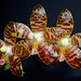 David Lim Photo 35