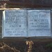 Ann Watkins Photo 26