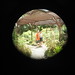 Sheri Ross Photo 14