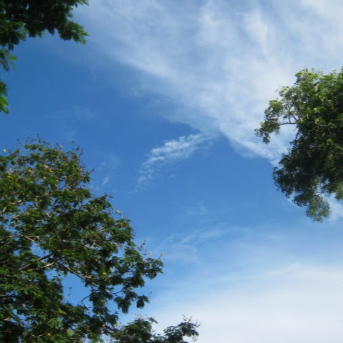 Ashima Gupta Photo 24