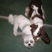 Susie Wiley Photo 14