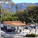 Barbara Davidson Photo 47