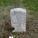 Bruce Kelley Photo 31