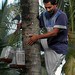 Arif Mohamed Photo 24