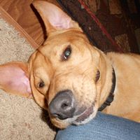 Kimberly Justice Photo 40