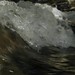 Sharon Howes Photo 23