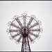 R Harrell Photo 5