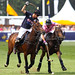 Andrew Tobin Photo 16