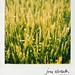 Kimberly Winter Photo 25