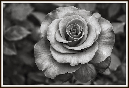 Joyce George Photo 38