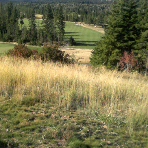 Jamie Mcclure Photo 5