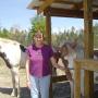 Sherri Lowe Photo 31